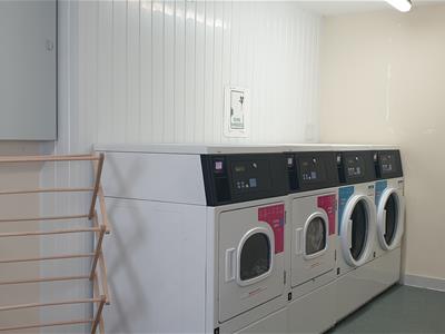 Picture 5